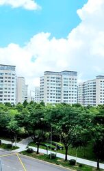 Blk 513A Saraca Breeze @ Yishun (Yishun), HDB 3 Rooms #557864471